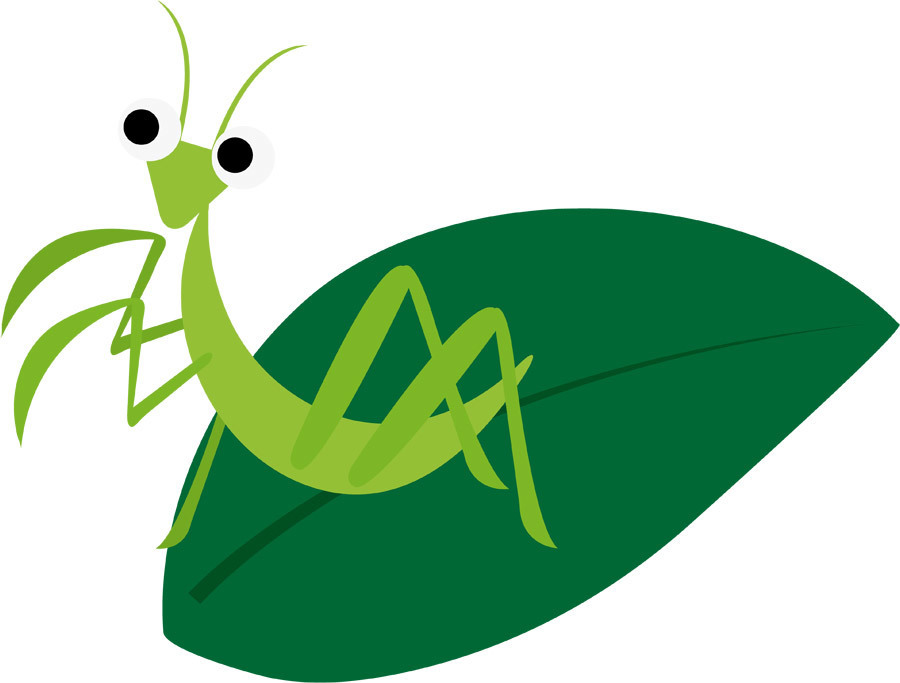 カマキリを英語で何という 覚えておきたい表現２選