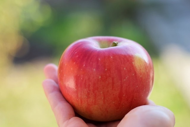 りんごの英語発音と関連表現を例文と動画で解説